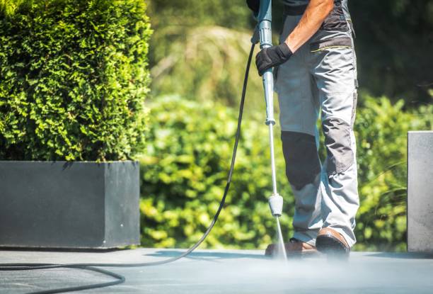 Boat and Dock Cleaning in Alta Sierra, CA