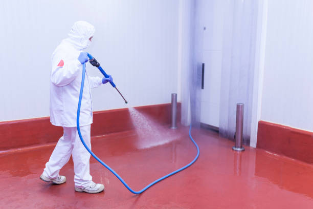 Best Dumpster Area Cleaning  in Alta Sierra, CA