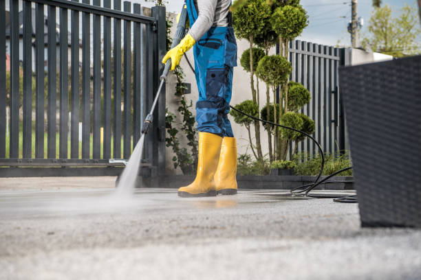Best Driveway Pressure Washing  in Alta Sierra, CA